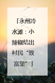 永州冷水滩：小辣椒结出村民“致富果”