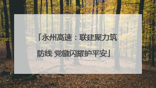 永州高速：联建聚力筑防线 党徽闪耀护平安