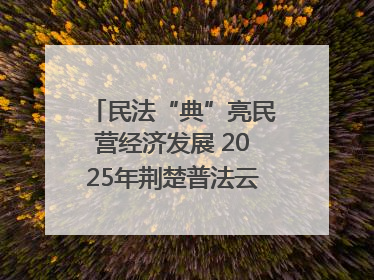 民法“典”亮民营经济发展 2025年荆楚普法云课堂第二期在武汉客厅开讲