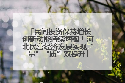 民间投资保持增长 创新动能持续增强！河北民营经济发展实现“量”“质”双提升