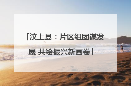汶上县：片区组团谋发展 共绘振兴新画卷