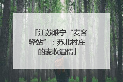 江苏睢宁“麦客驿站”：苏北村庄的麦收温情
