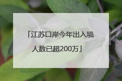 江苏口岸今年出入境人数已超200万