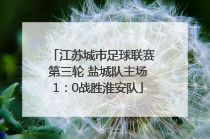 江苏城市足球联赛第三轮 盐城队主场1：0战胜淮安队