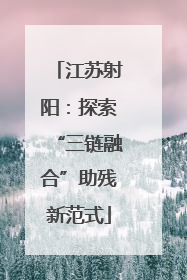 江苏射阳：探索“三链融合”助残新范式