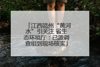江西赣州“黄河水”引关注 省生态环境厅：已派调查组到现场核实