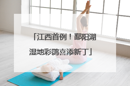 江西首例！鄱阳湖湿地彩鹮喜添新丁