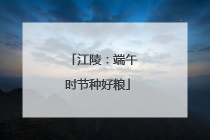 江陵：端午时节种好粮