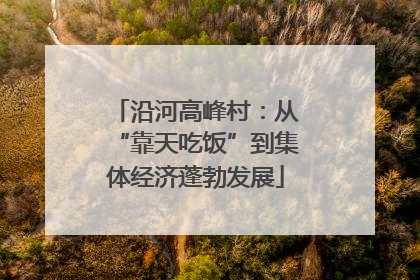 沿河高峰村：从“靠天吃饭”到集体经济蓬勃发展