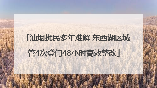 油烟扰民多年难解 东西湖区城管4次登门48小时高效整改