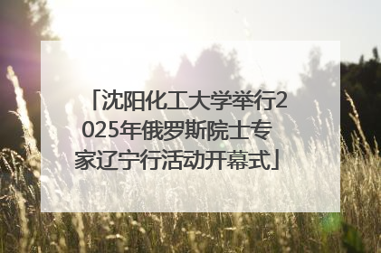 沈阳化工大学举行2025年俄罗斯院士专家辽宁行活动开幕式