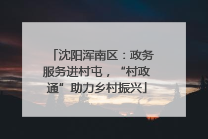 沈阳浑南区：政务服务进村屯，“村政通”助力乡村振兴