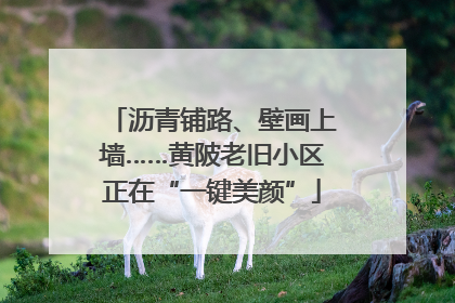 沥青铺路、壁画上墙……黄陂老旧小区正在“一键美颜”