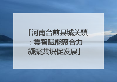 河南台前县城关镇：集智赋能聚合力 凝聚共识促发展