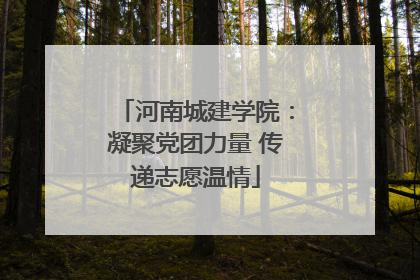 河南城建学院：凝聚党团力量 传递志愿温情