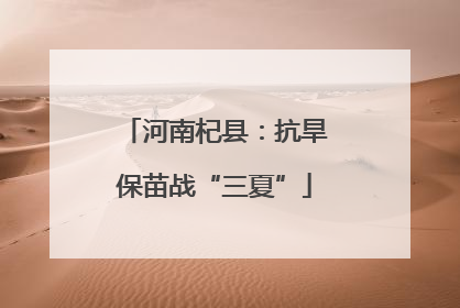 河南杞县：抗旱保苗战“三夏”
