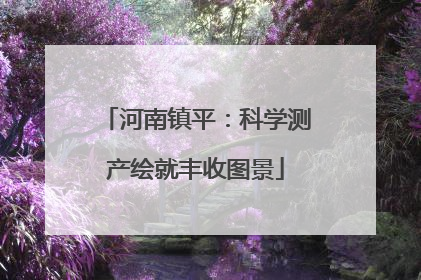 河南镇平：科学测产绘就丰收图景