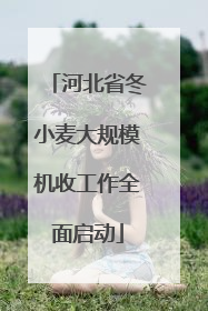 河北省冬小麦大规模机收工作全面启动