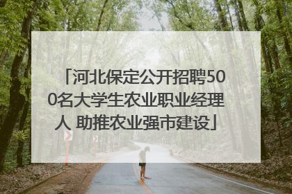 河北保定公开招聘500名大学生农业职业经理人 助推农业强市建设