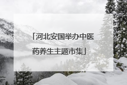 河北安国举办中医药养生主题市集