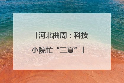 河北曲周：科技小院忙“三夏”