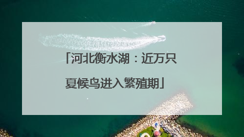 河北衡水湖：近万只夏候鸟进入繁殖期