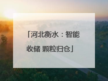 河北衡水：智能收储 颗粒归仓