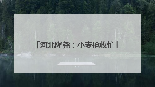 河北隆尧：小麦抢收忙