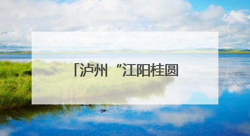 泸州“江阳桂圆”跻身“国字号” “甜蜜名片”获全国认证
