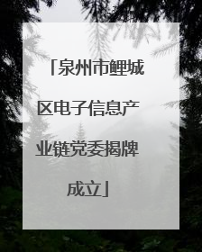 泉州市鲤城区电子信息产业链党委揭牌成立