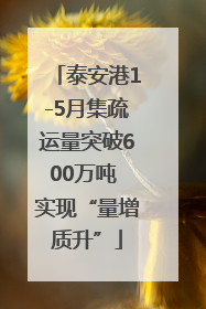 泰安港1-5月集疏运量突破600万吨 实现“量增质升”