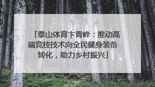 泰山体育卞青峰：推动高端竞技技术向全民健身装备转化，助力乡村振兴