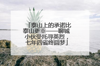 泰山上的承诺比泰山更重——聊城小伙受托寻英烈，七年四省终圆梦