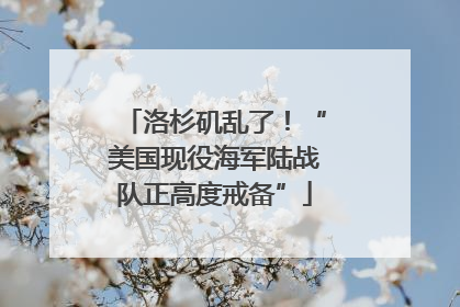 洛杉矶乱了！“美国现役海军陆战队正高度戒备”