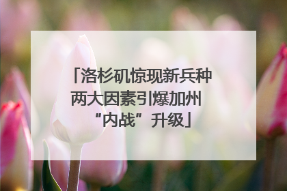 洛杉矶惊现新兵种 两大因素引爆加州“内战”升级