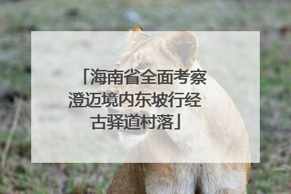 海南省全面考察澄迈境内东坡行经古驿道村落