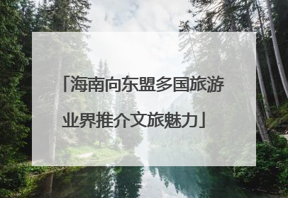 海南向东盟多国旅游业界推介文旅魅力