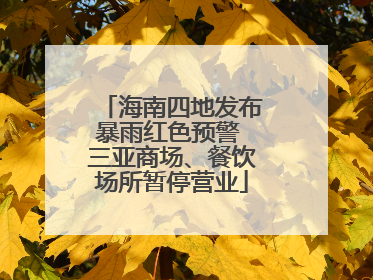 海南四地发布暴雨红色预警 三亚商场、餐饮场所暂停营业