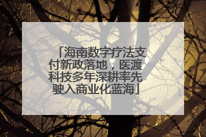 海南数字疗法支付新政落地，医渡科技多年深耕率先驶入商业化蓝海