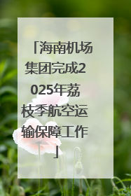 海南机场集团完成2025年荔枝季航空运输保障工作
