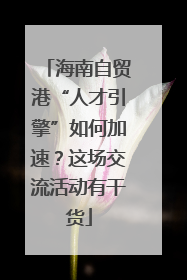 海南自贸港“人才引擎”如何加速？这场交流活动有干货