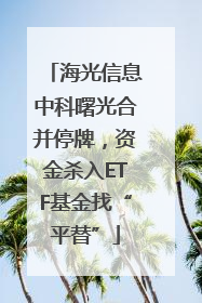 海光信息中科曙光合并停牌，资金杀入ETF基金找“平替”