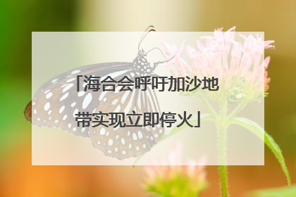 海合会呼吁加沙地带实现立即停火