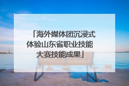 海外媒体团沉浸式体验山东省职业技能大赛技能成果