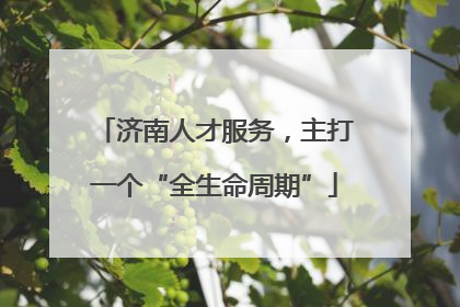 济南人才服务，主打一个“全生命周期”