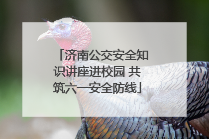 济南公交安全知识讲座进校园 共筑六一安全防线