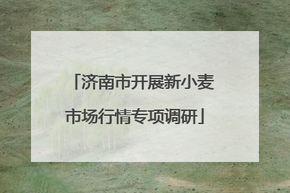 济南市开展新小麦市场行情专项调研