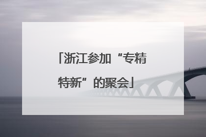 浙江参加“专精特新”的聚会