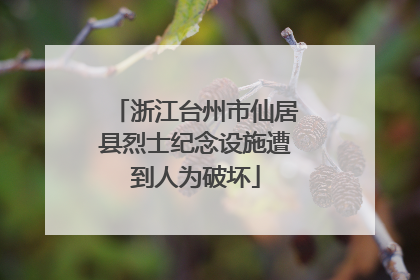 浙江台州市仙居县烈士纪念设施遭到人为破坏