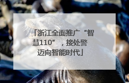 浙江全面推广“智慧110”，接处警迈向智能时代